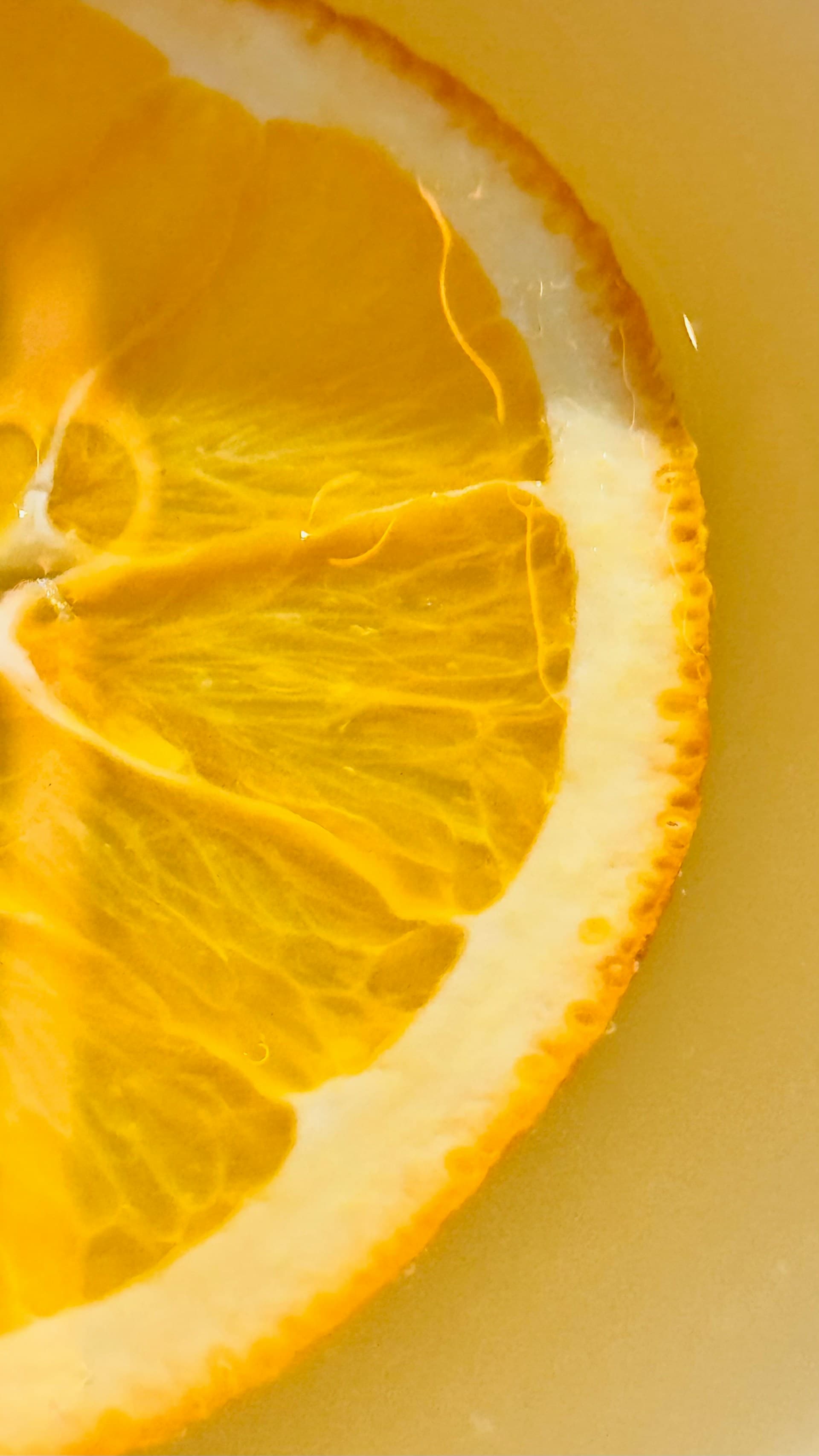 Rodaja de naranja representando las notas cítricas de una fragancia.