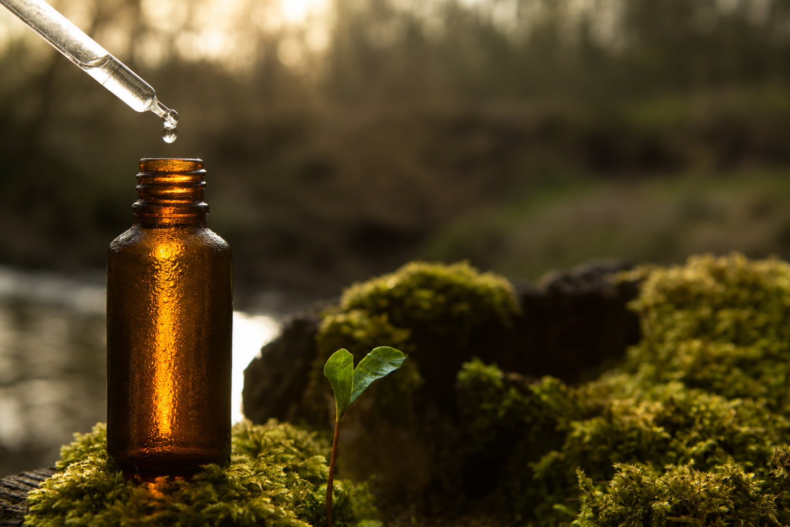 Frasco de esencia aromática con cuentagotas sobre musgo natural.