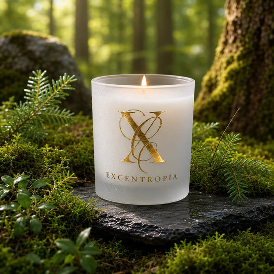 Selva de Irati · Vela bosque herbal y amaderada